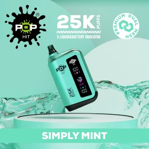 POPHITS 25 000 PUFF 5% - SIMPLY MINT
