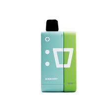 ELFBAR EW9000 KIT 5% - MIAMI MINT